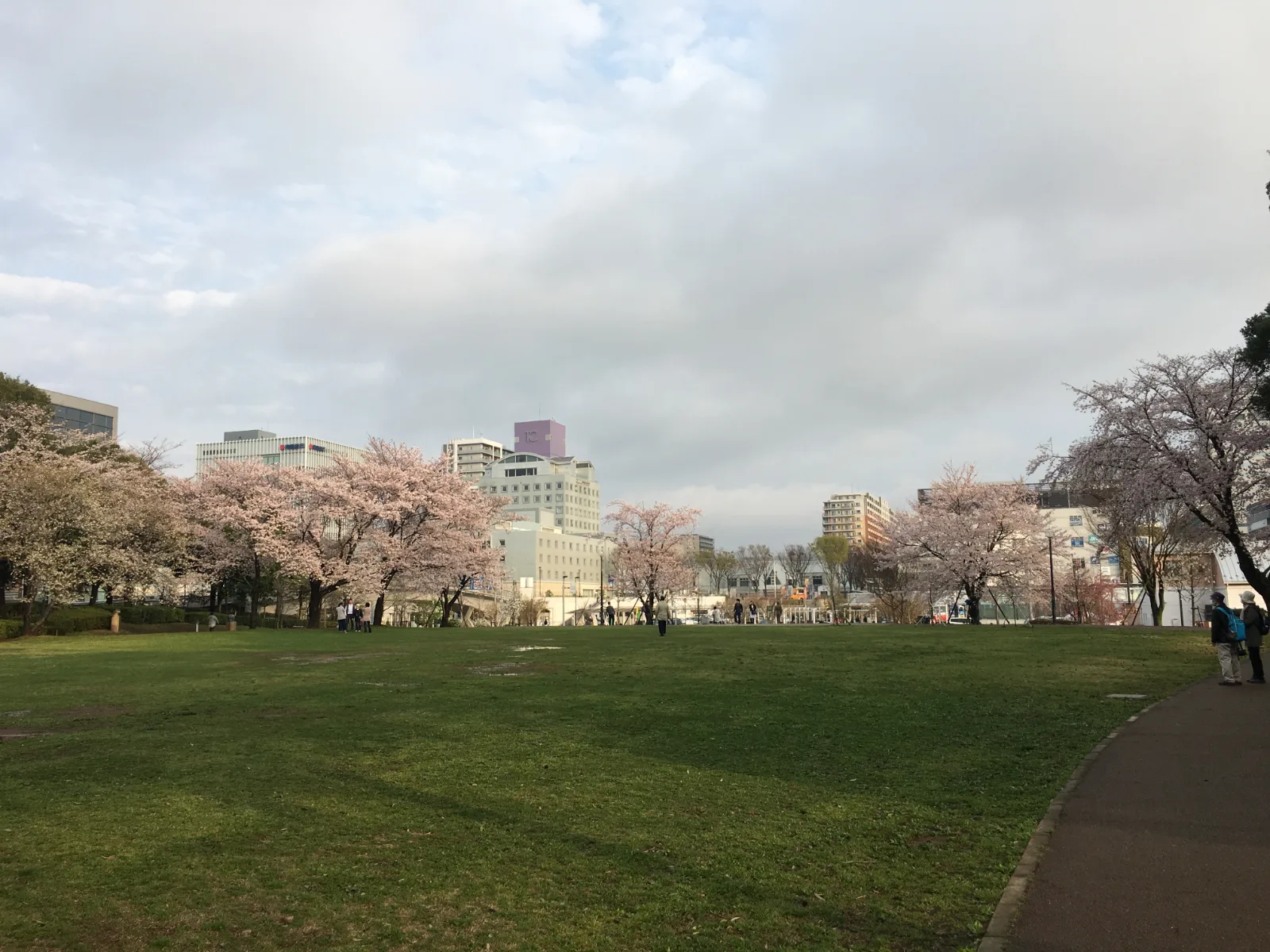 中央公園